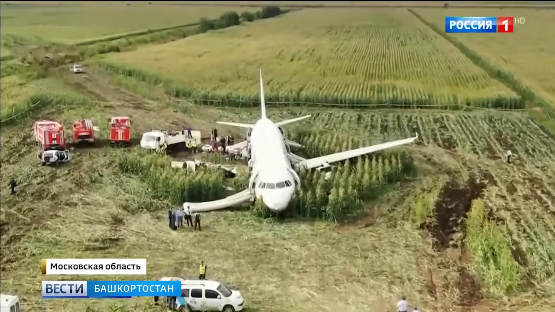 Самолет сел в поле. А321 сел на кукурузное поле. Самолет в кукурузном поле в Жуковском. Экипаж а321 кукурузник. Посадка на кукурузном поле в Жуковском.