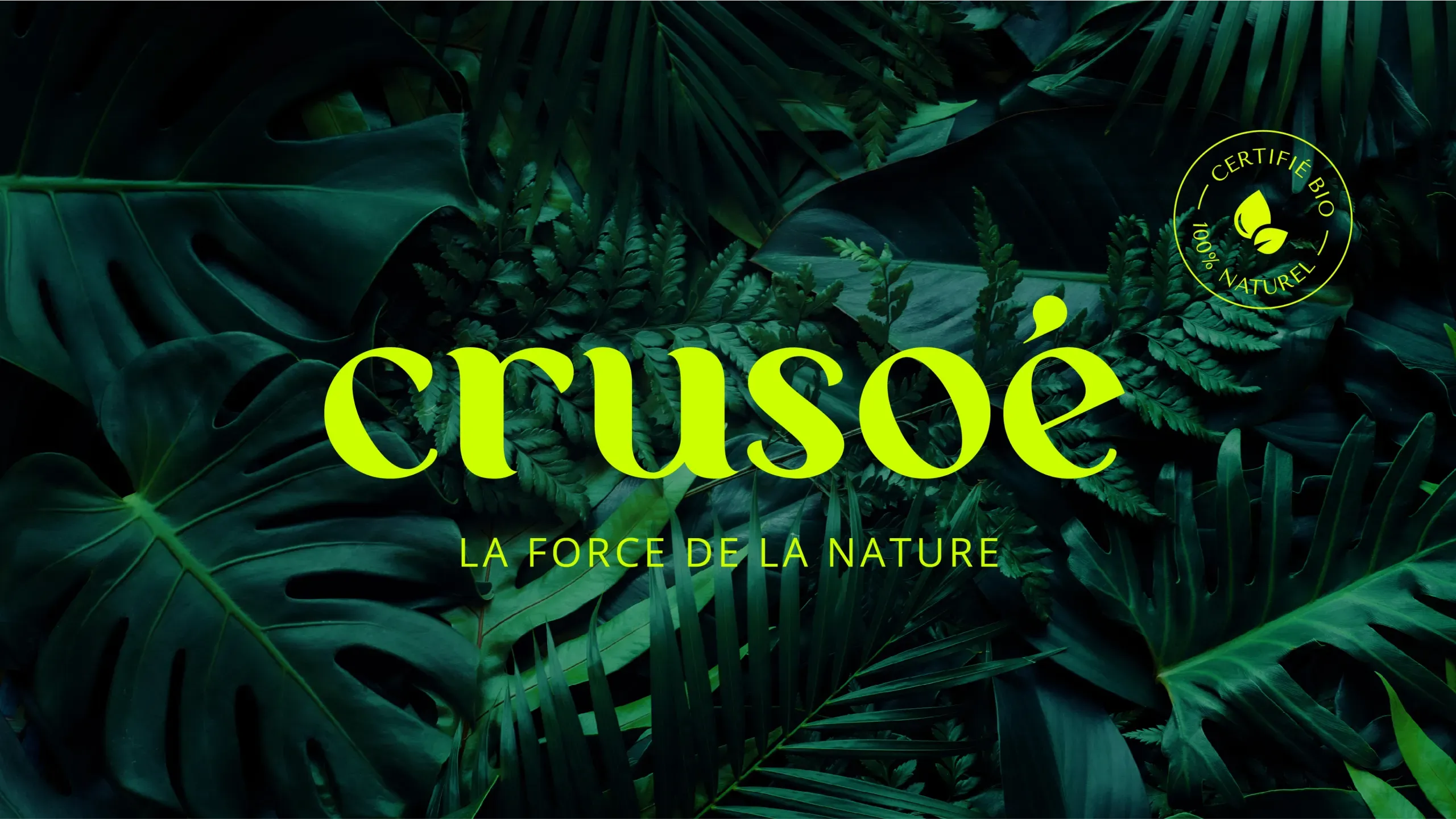 Image de la section héro de la page "Crusoé"