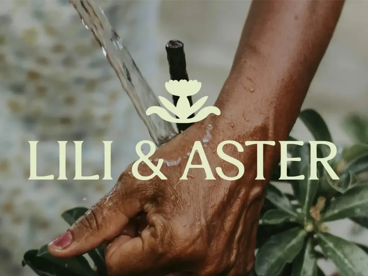 image de présentation du projet lili-et-aster