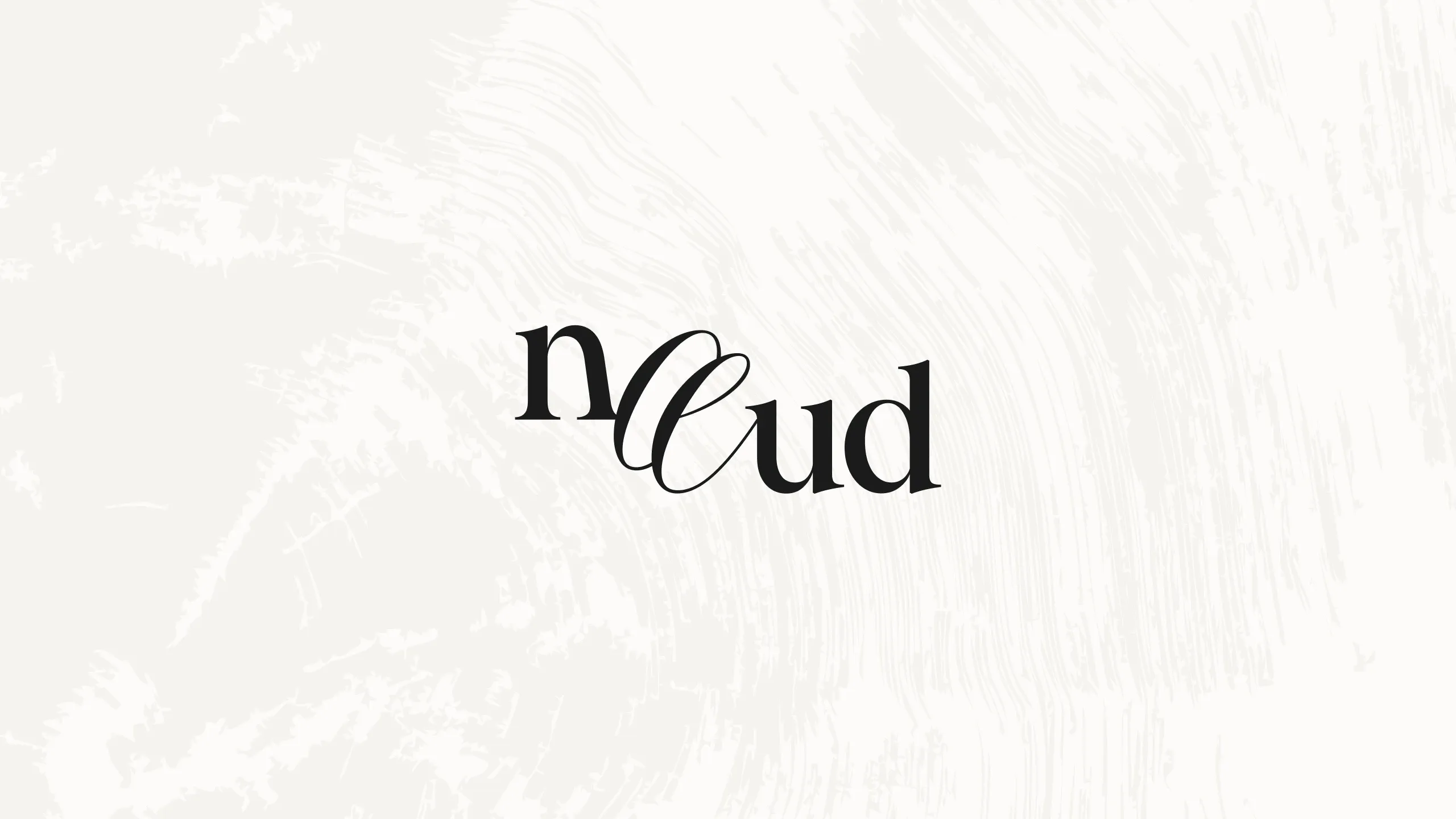 image de présentation du projet noeud