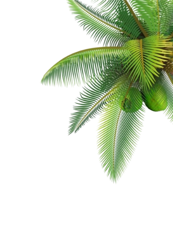 Daun Kelapa