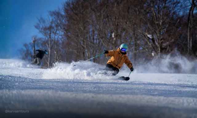 A skier in a bright orange jacket carving through fresh powder snow next to bare trees.