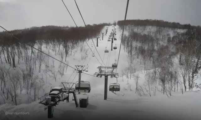 Looking up a steep ski chairlift path cutting through snow-laden trees on a gray day.