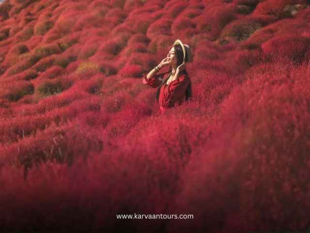 A woman in a red dress and a sun hat standing amidst a vibrant, rolling field of bright red kochia bushes, creating a lush, textured autumn landscape.