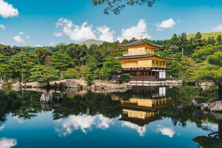 Kyoto & Nara Full-Day Cultural Heritage Tour image 1