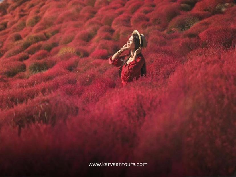 A woman in a red dress and a sun hat standing amidst a vibrant, rolling field of bright red kochia bushes, creating a lush, textured autumn landscape.