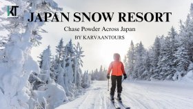 Private Snow Resort Tours from Tokyo to Niigata & Tochigi Ski Resorts