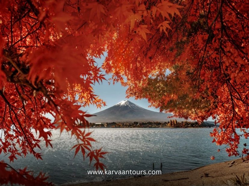 A red maple tree with Mt Fuji and a city in the distance