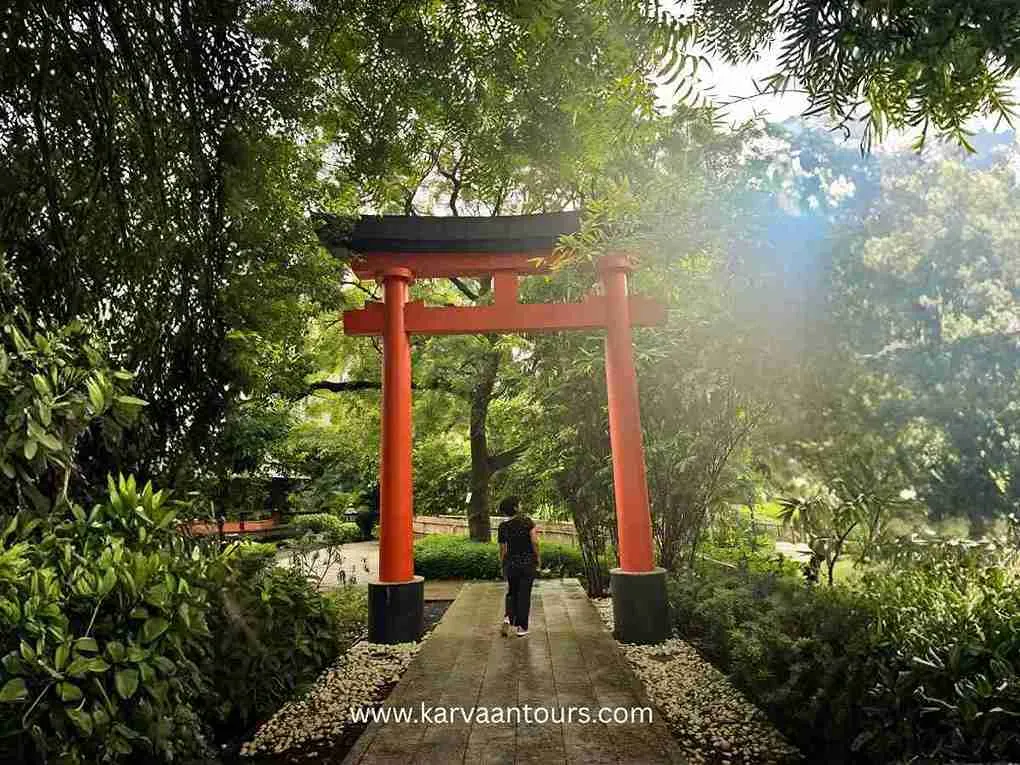 Person walking along a forest pathway through red torii gates at Hakone Shrine in Japan