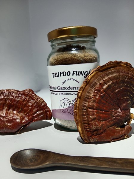 Ganoderma Lucidum pulverizado