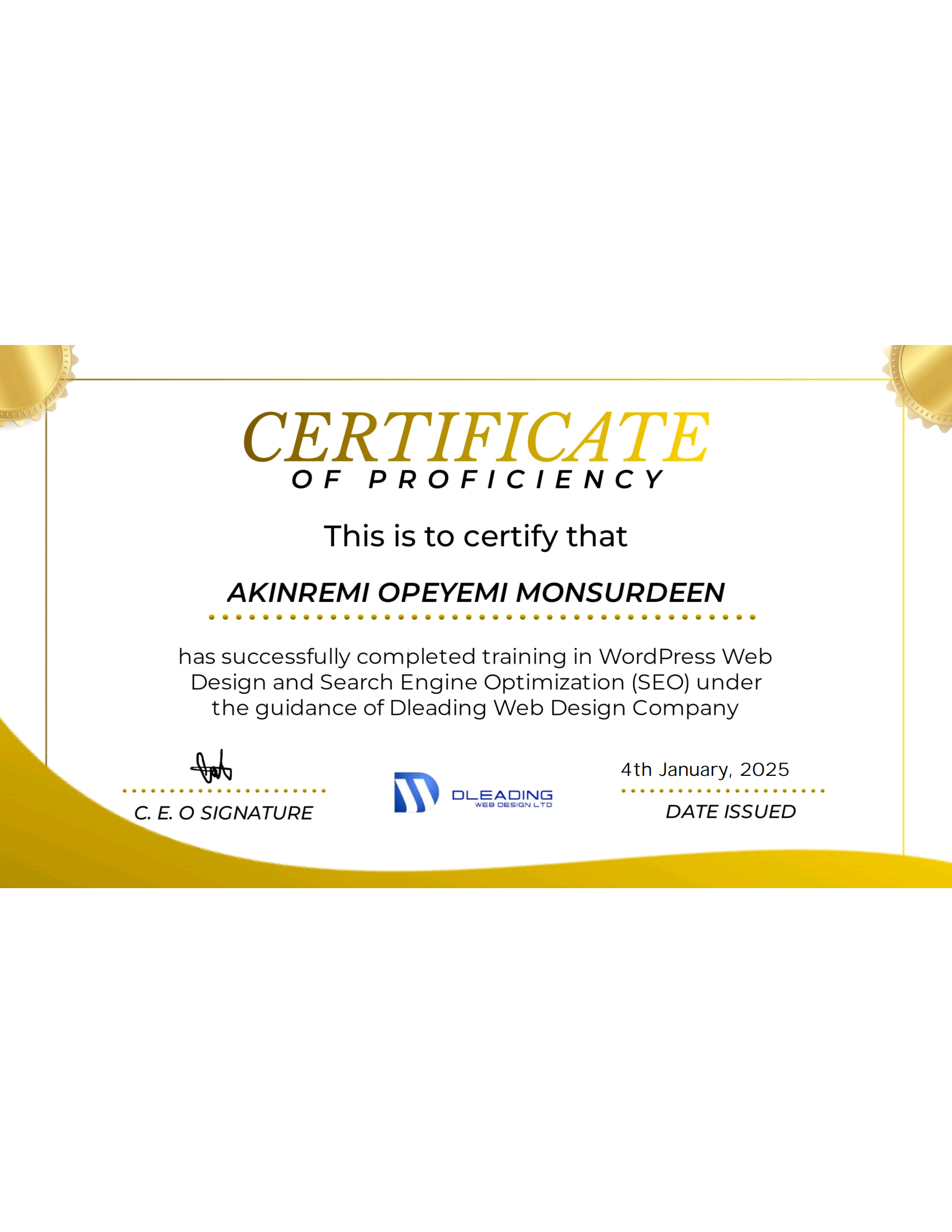 Opeyemi Akinremi Performance Marketing Certification