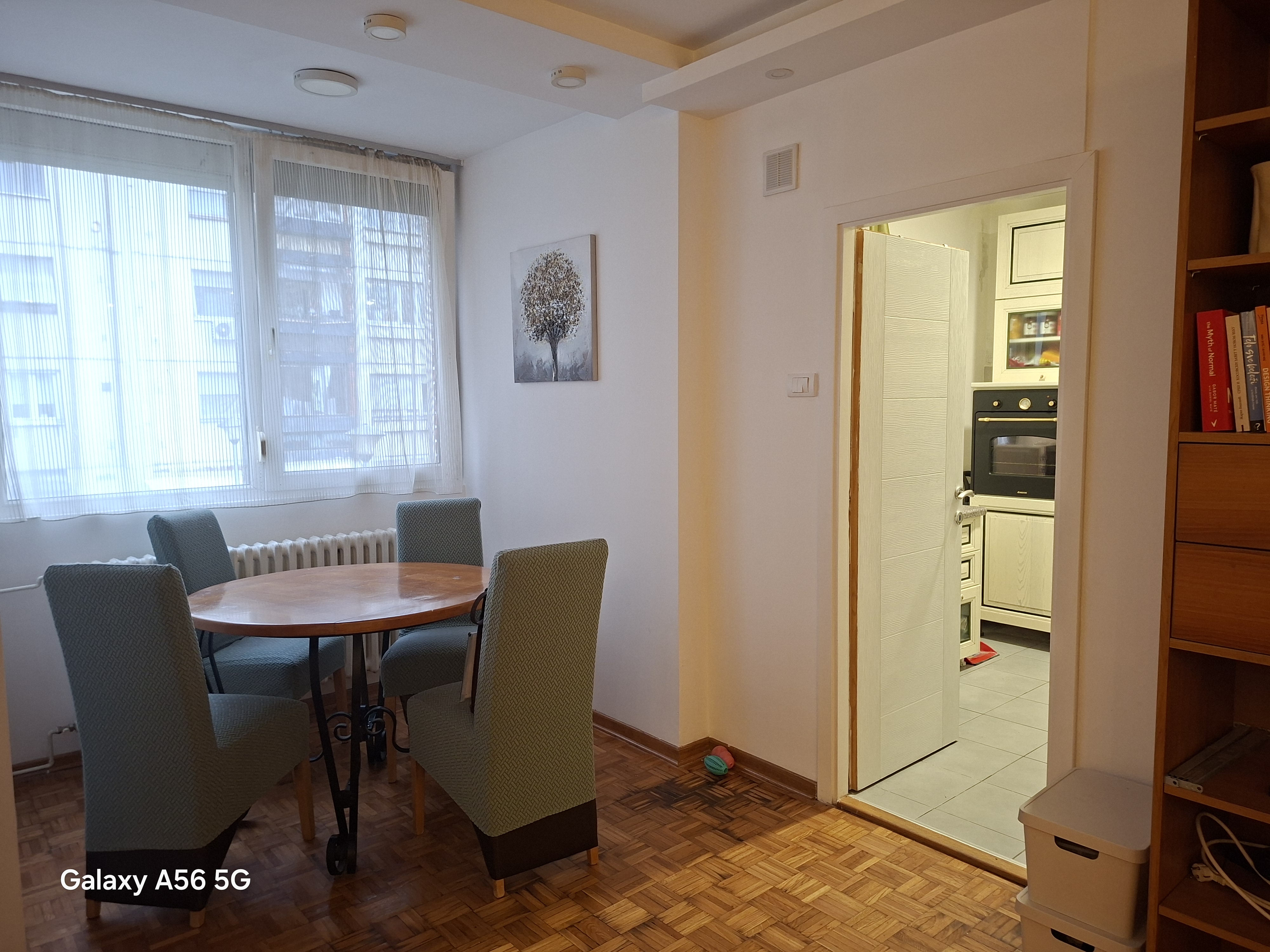 Prodajemo renoviran troiposoban uknjizen stan u Gandijevoj ulici - slika 2