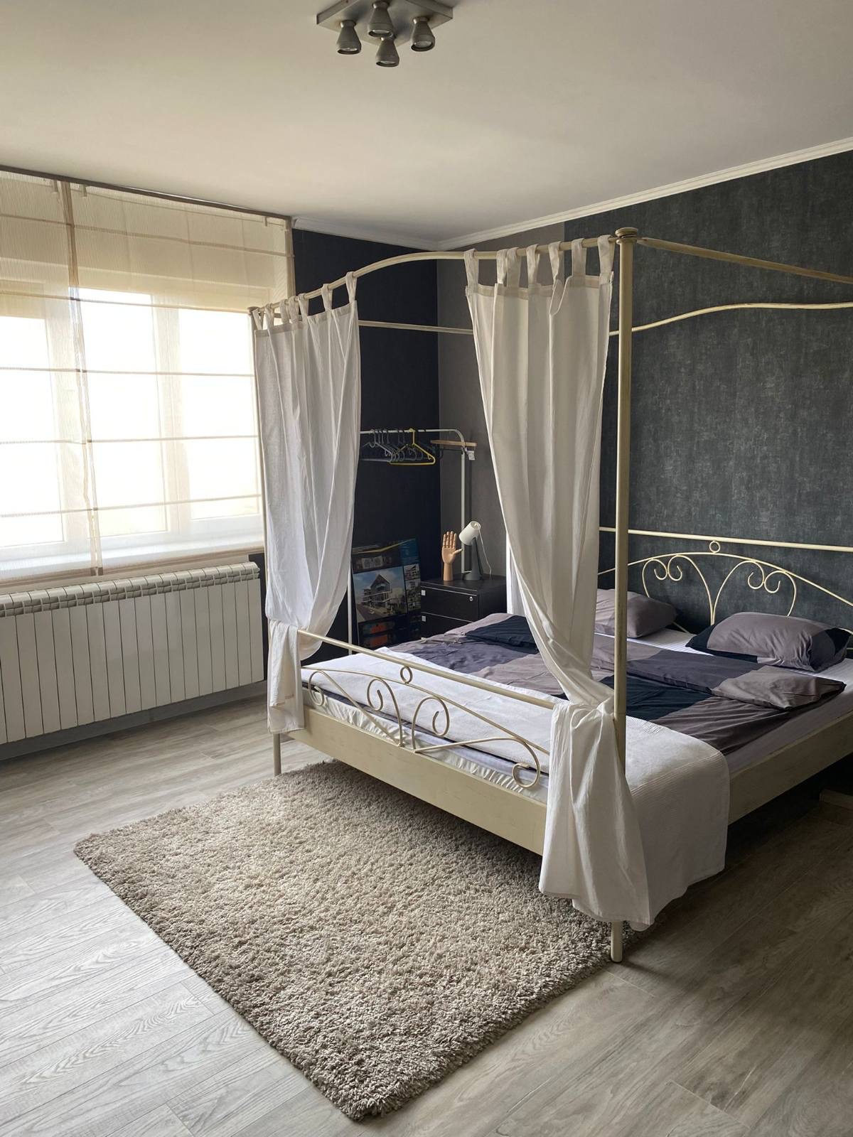 Izdavanje stana u Beogradskoj  - slika 1