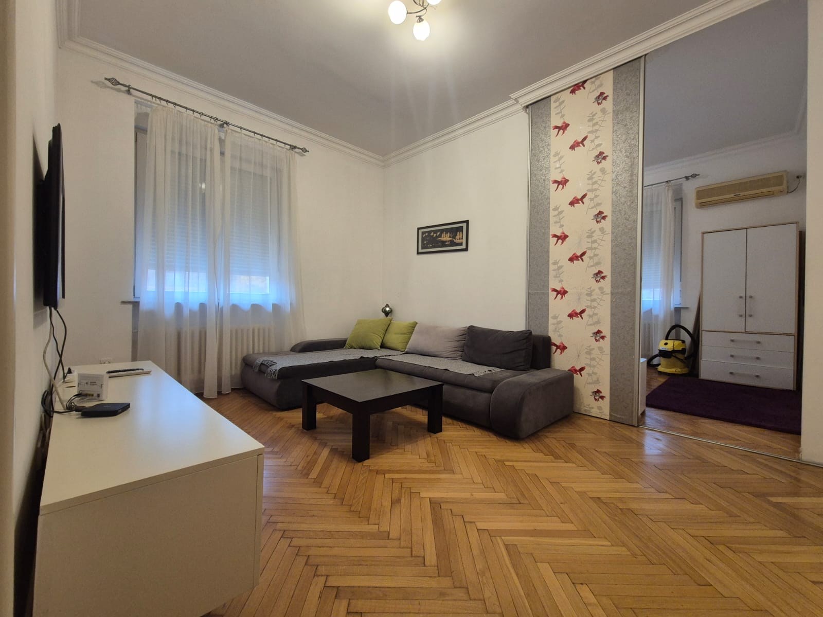 Gospodar Jevremova - slika 1