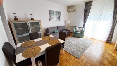 Izdavanje dvosoban stan Crveni Krst, Vračar 40m²