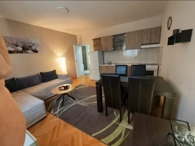 Izdavanje dvosoban stan Karaburma, Palilula 42m²