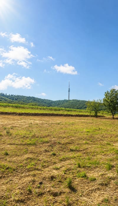Prodaja 0-soban stan Zuce, Voždovac 0m²