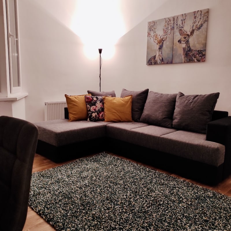 Useljiv bez ulaganja –trosoban stan kod SC Olimp - slika 1