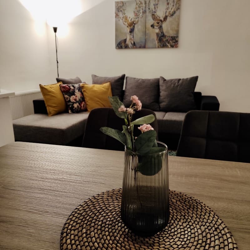 Useljiv bez ulaganja –trosoban stan kod SC Olimp - slika 2