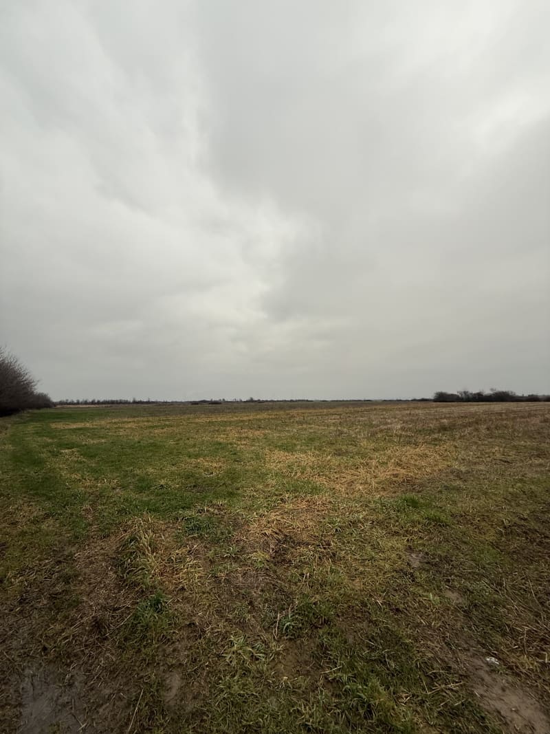 Poljoprivredno zemljište 235 ari – Grabovac (Dubrava)-Obrenovac - slika 1