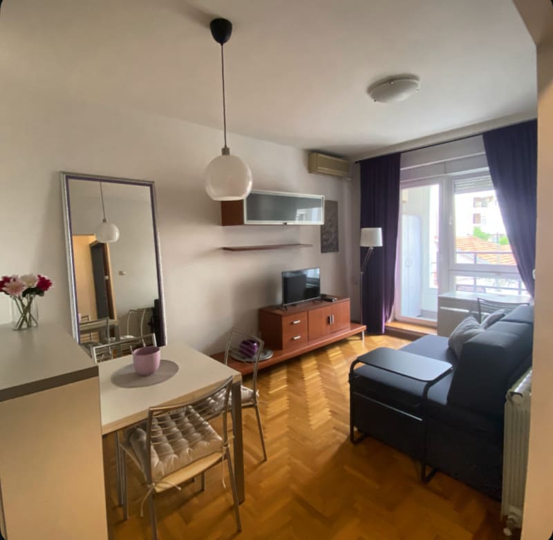 Izdavanje stana, Vračar Neimar, odmah useljiv, pet friendly - slika 1