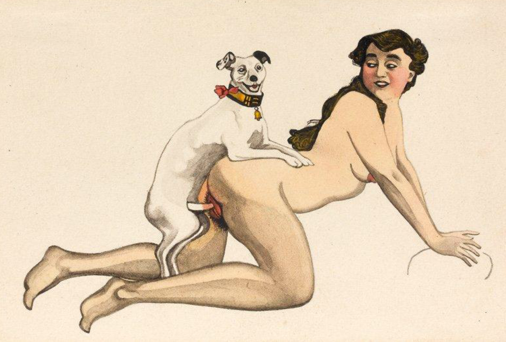 A Woman's Guide To Canine Sex | Impact Xoft Erotic Literature