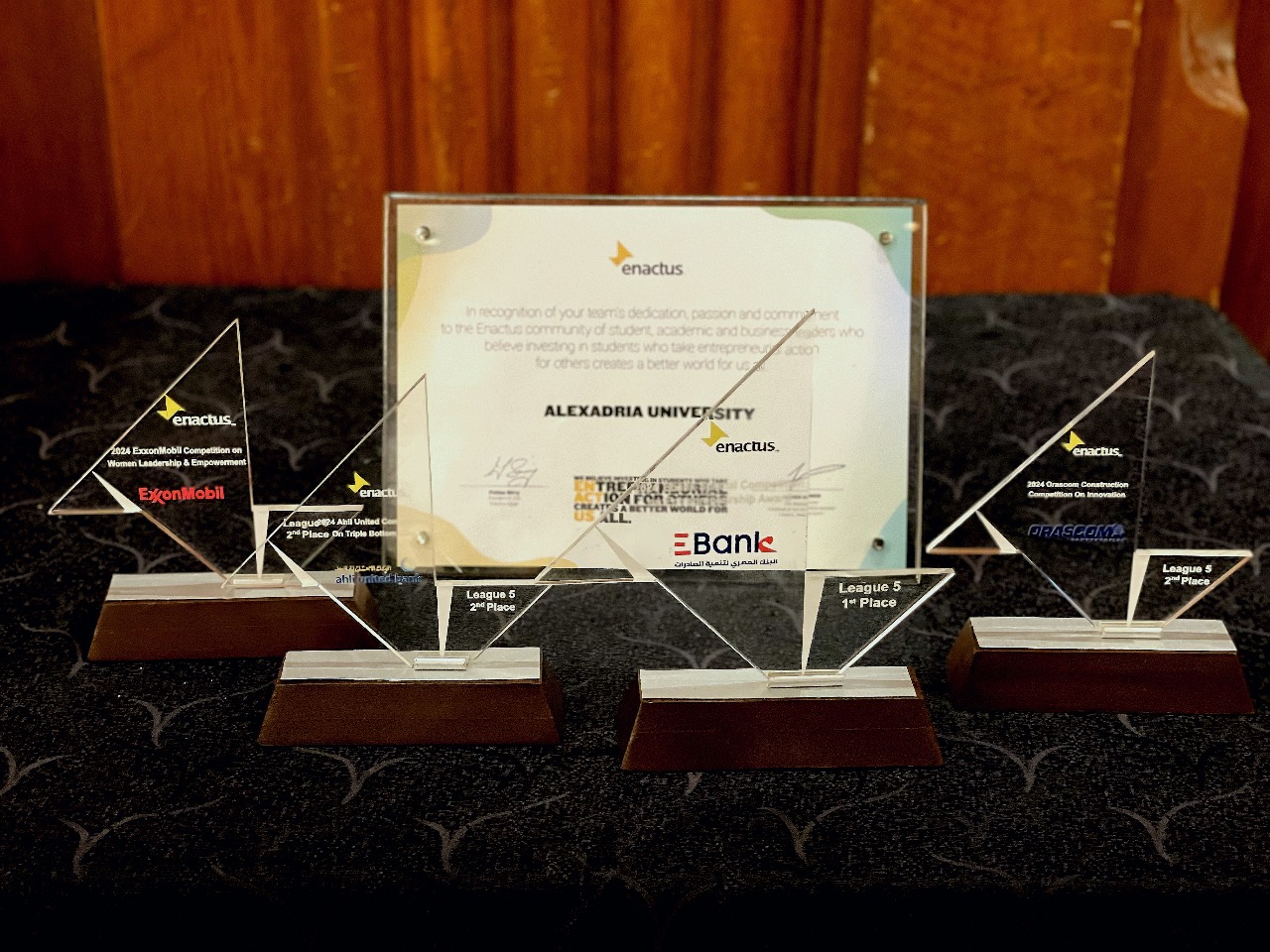 Enactus Alexandria in action
