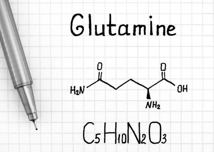 глутамин ползи, глутамин ползи и вреди