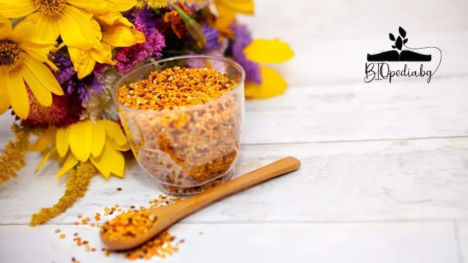 Benefits of Ginkgo Biloba 7 Reasons to Drink Ginkgo Biloba