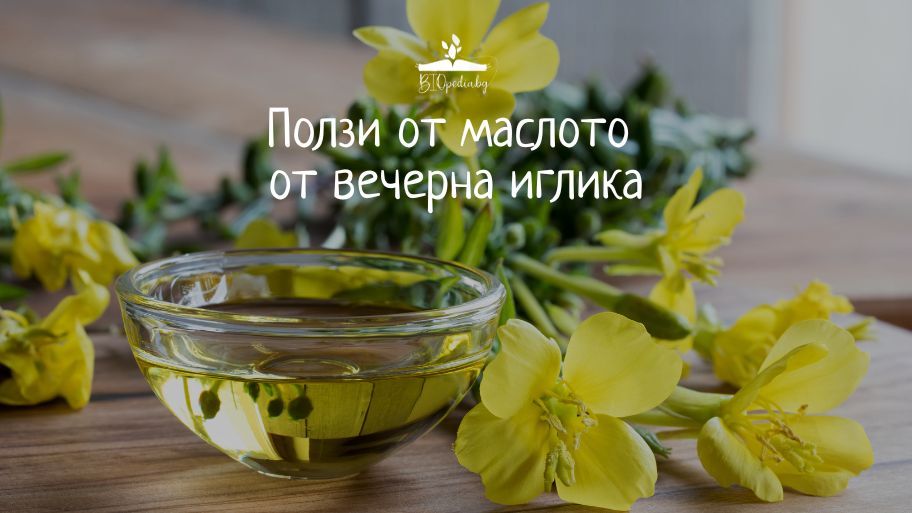 Масло от вечерна иглика | 5 ползи, за които не знаете