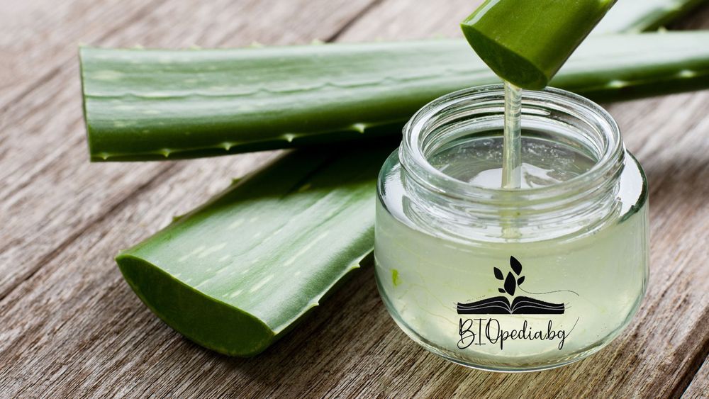 aloe vera gel gut für die haare Aloe Vera Gel Körper & Haare BIO 200ml