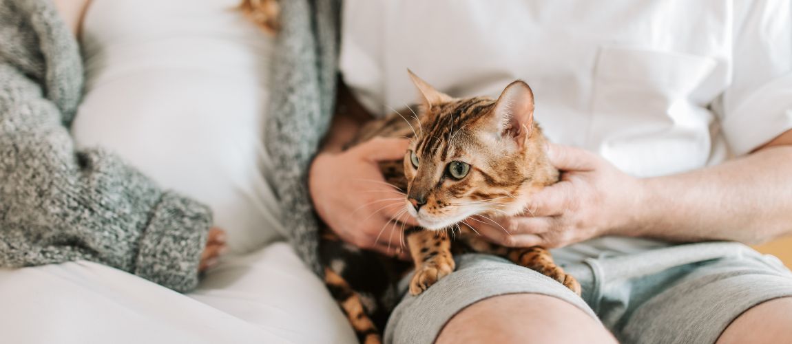 За кого е най-подходяща застраховката за домашни любимци