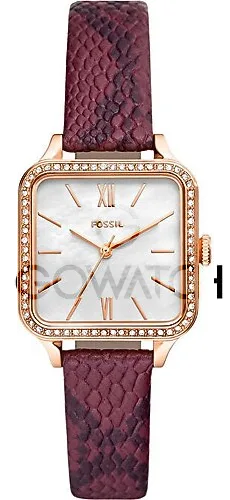 Đồng hồ nữ Fossil BQ3919 28mm Nữ chính hãng