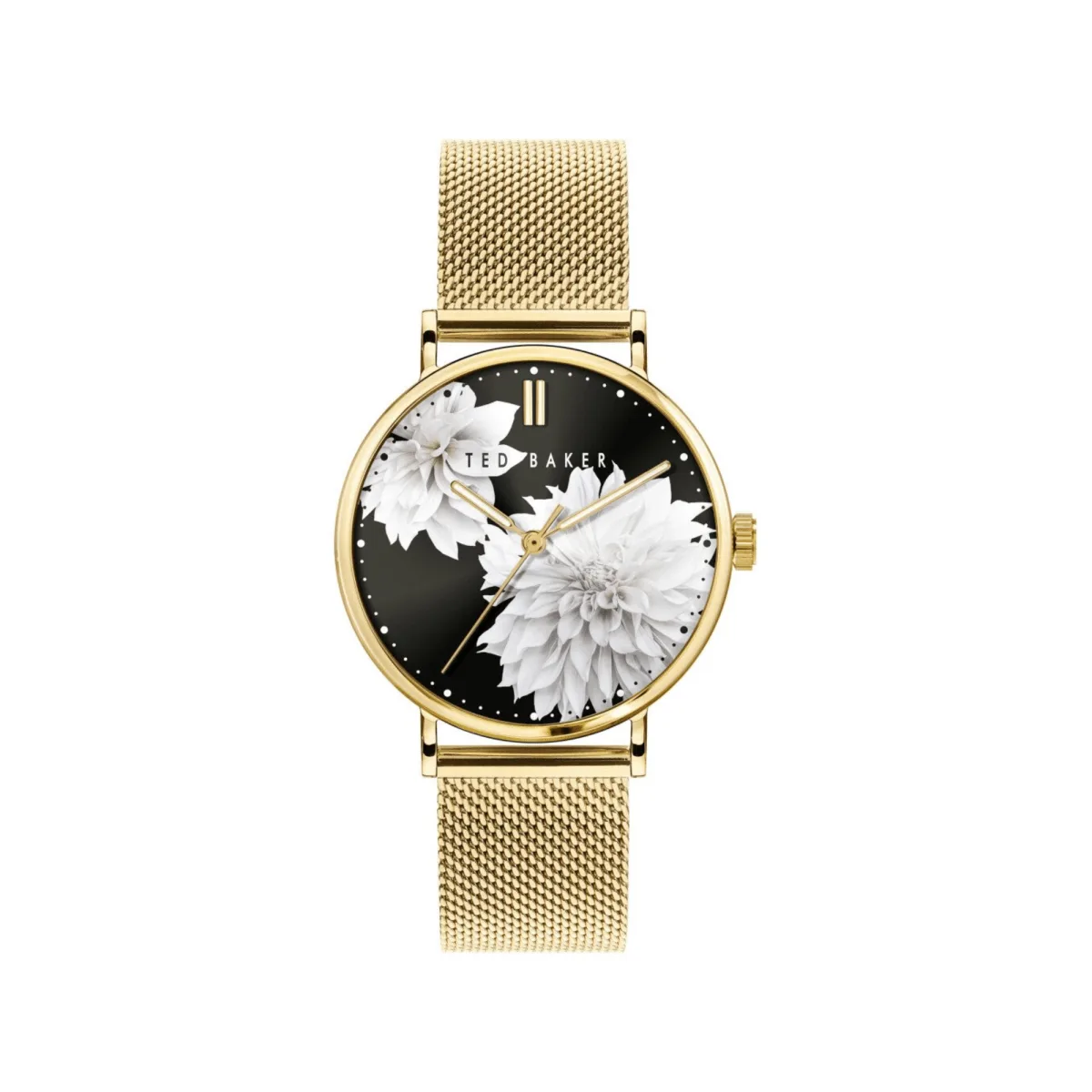 Đồng Hồ Nữ Ladies Phylipa Flamingo 1