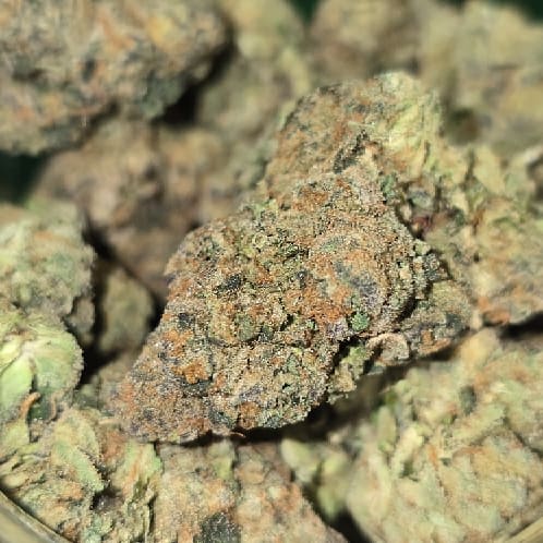 CP SUPER LEMON HAZE — 7g