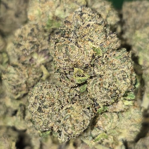 PERMANENT GAS — 3.5g