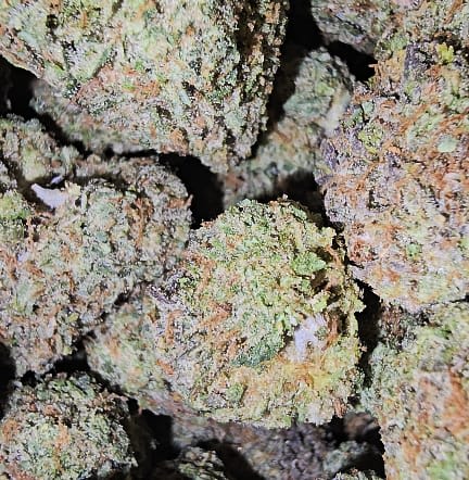 YELLOW ZUSHI — 3.5g