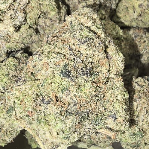 GUSHERS — 3.5g