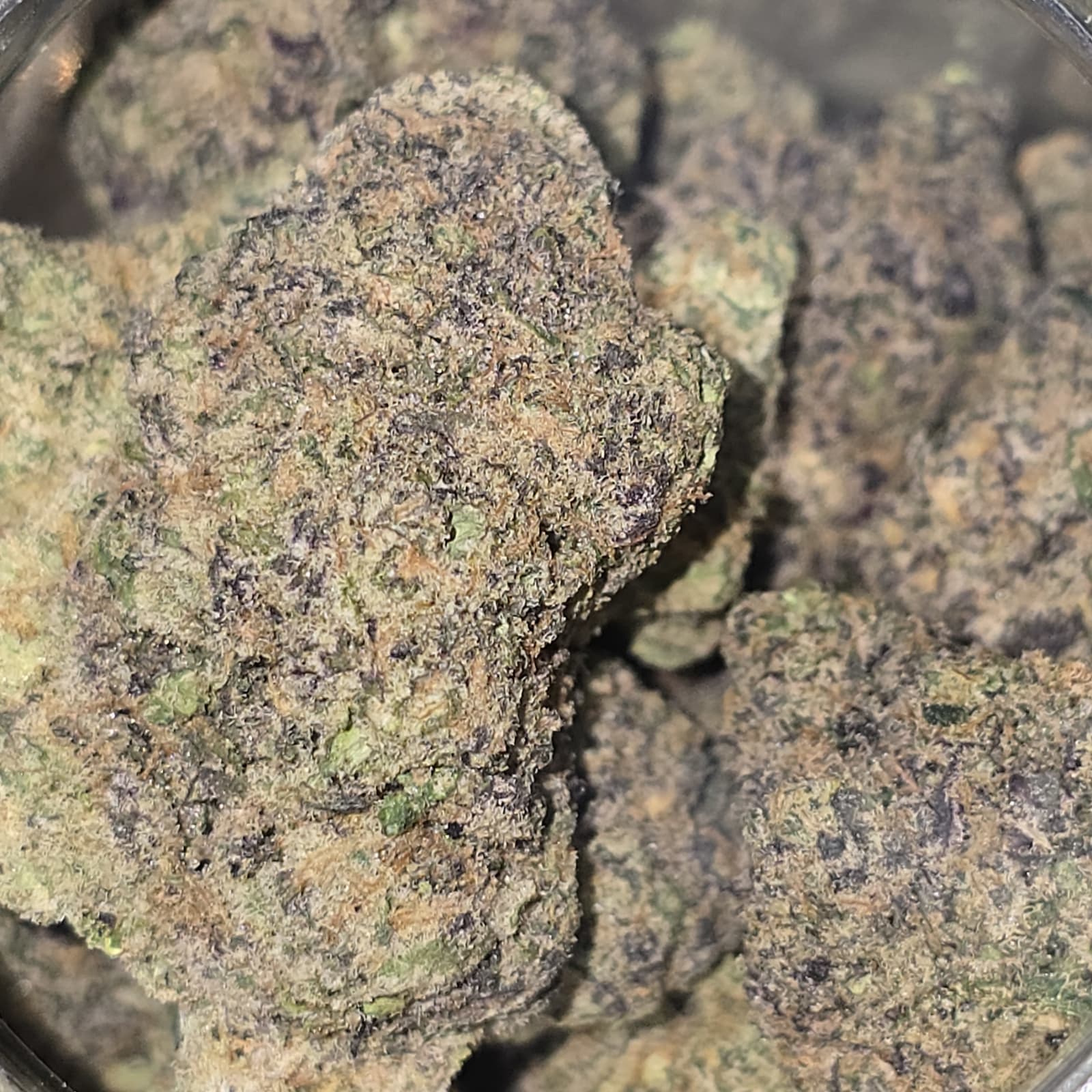 OBSIDIAN — 7g