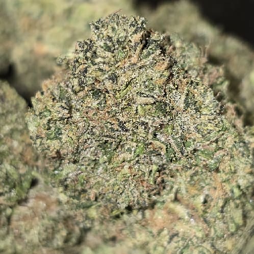 GIRAFFE PUZZY — 3.5g