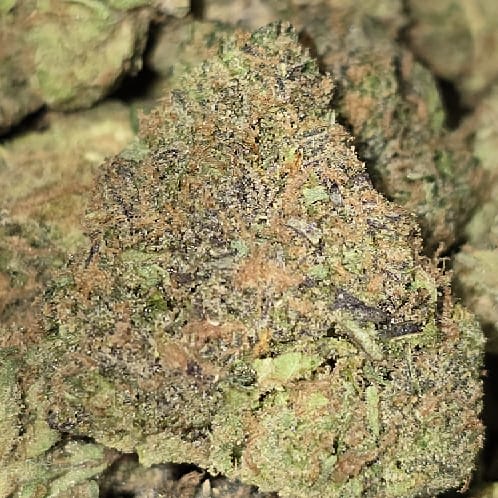 CP ZKITTLEZ — 3.5g