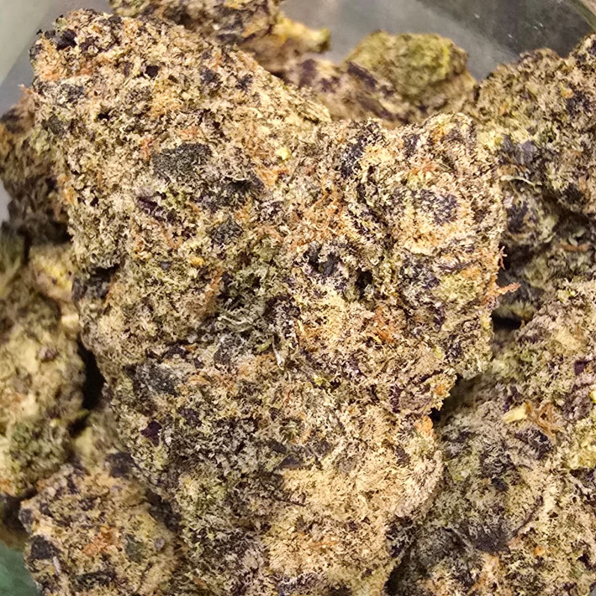CELLO SWEET OG — 7g
