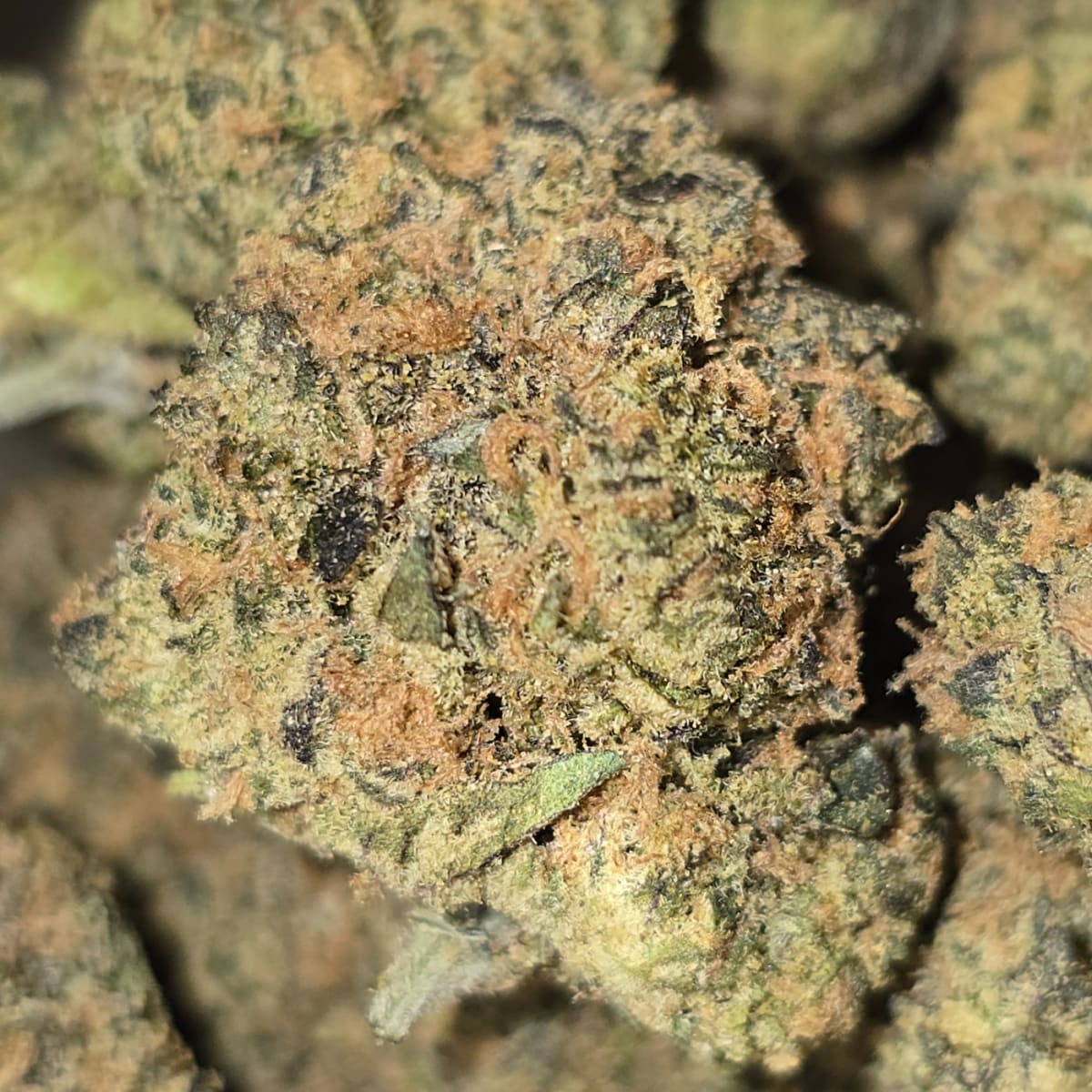 TEA PARTY — 3.5g