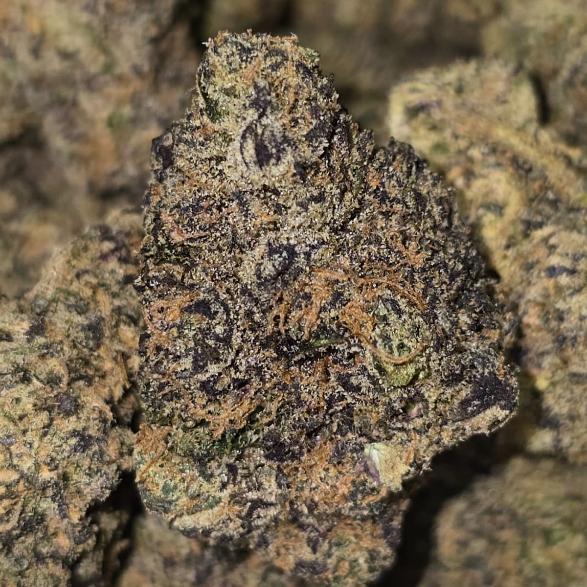 THE KEEPER X BLACK MAGIC — 3.5g