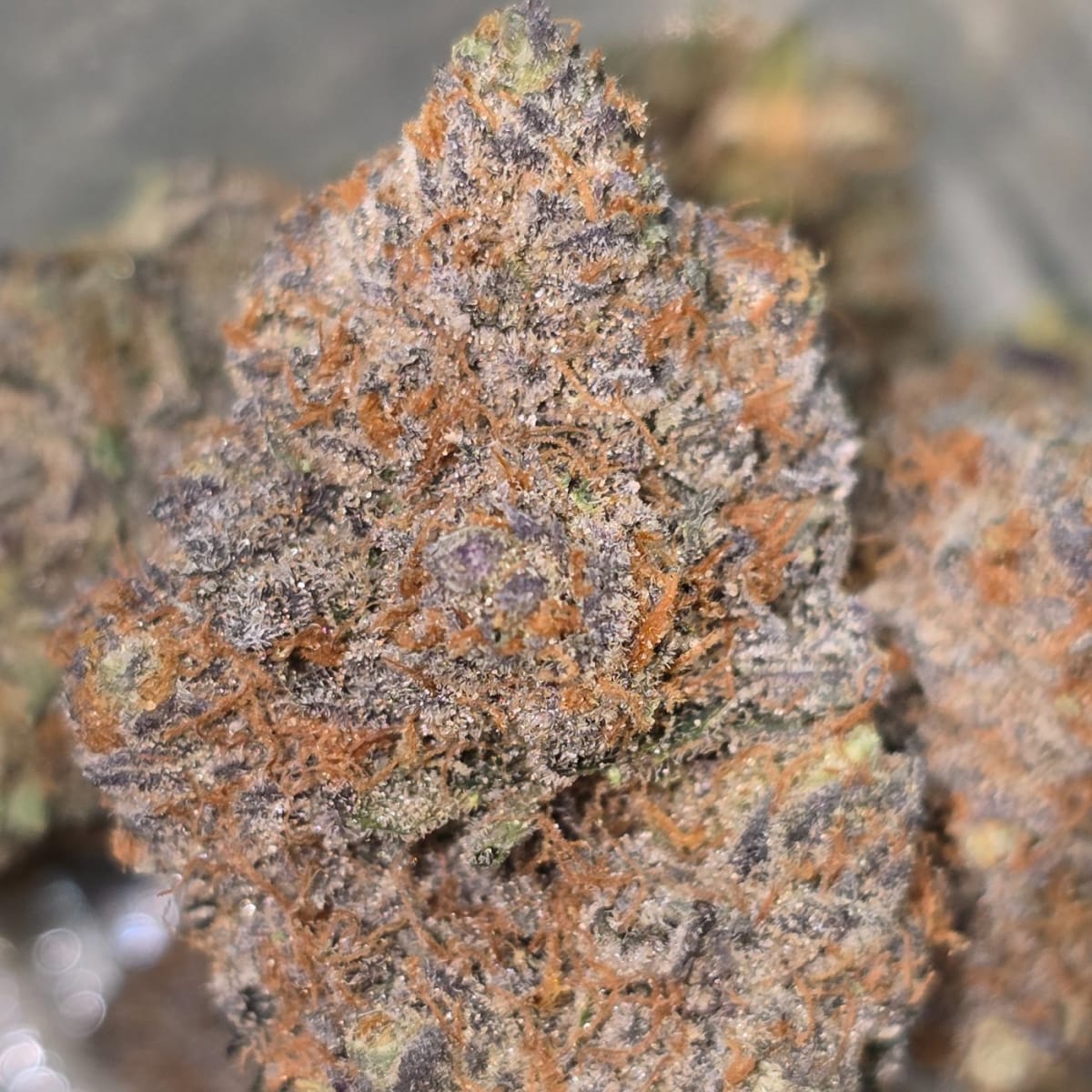 TEA TIME — 7g