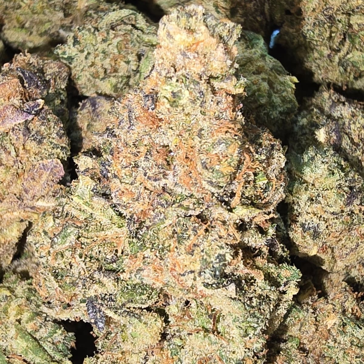 YELLOW ZKITTLEZ - 3.5g