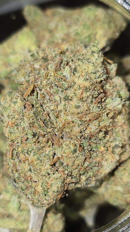 AMNESIA HAZE - 3.5g