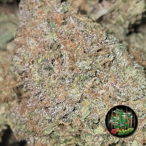 RAINBOW BELTZ (3 THE WEED) - 3.5g
