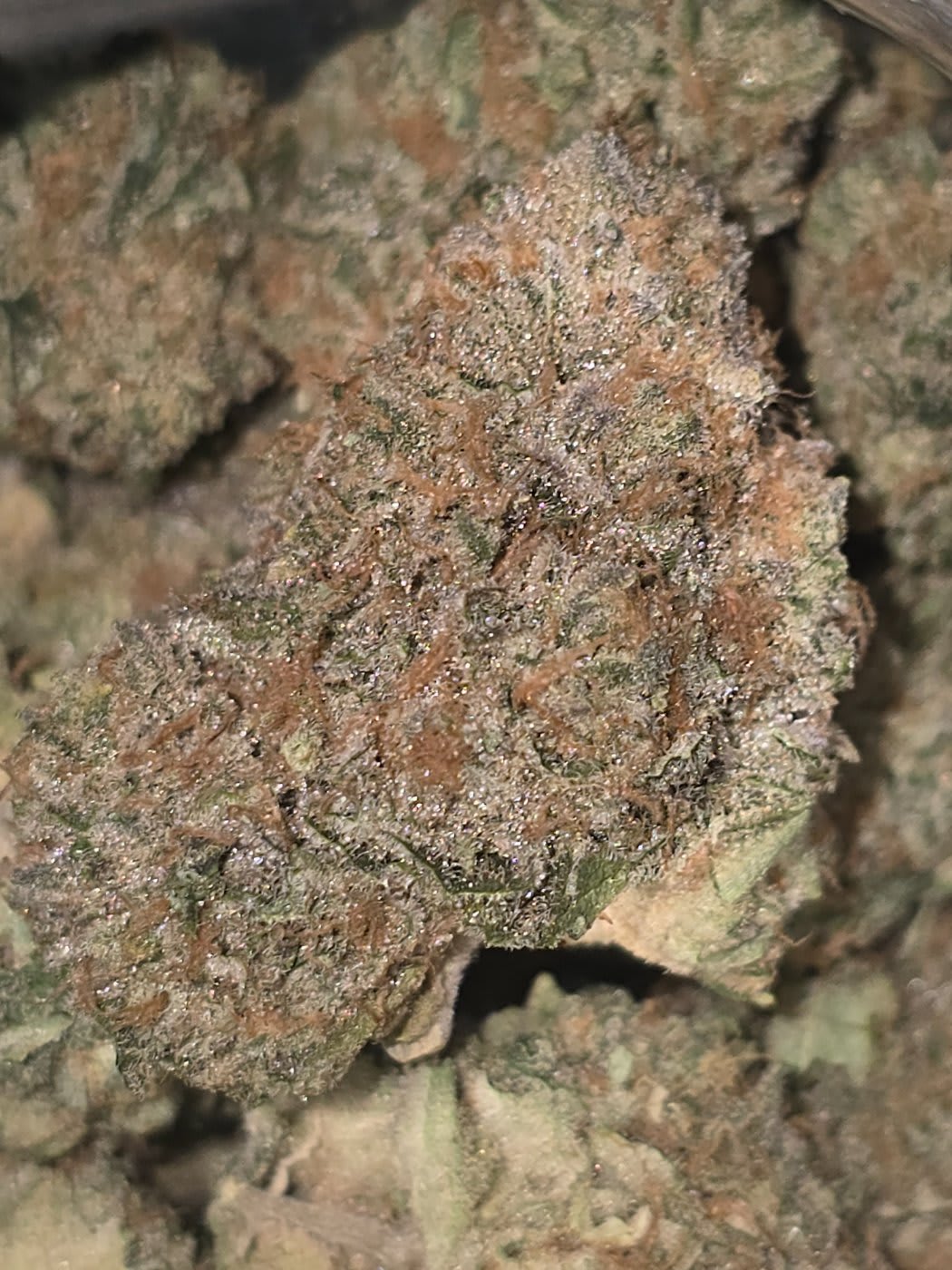 ZIPAYA (3 THE WEED) - 3.5g