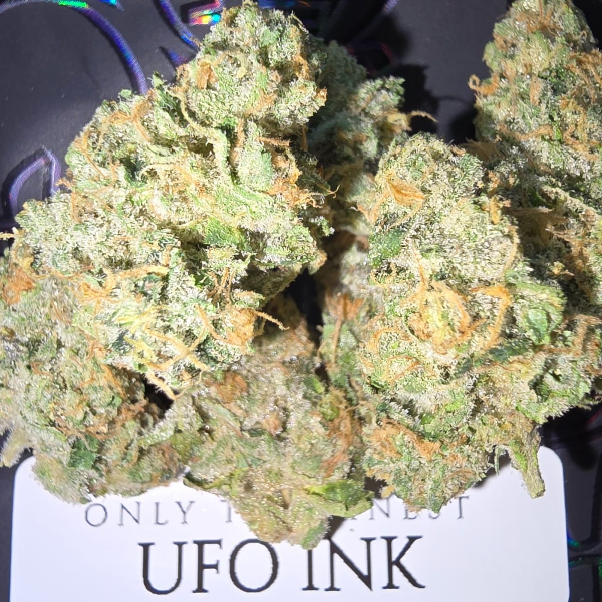UFO INK (OTF) - 7g
